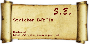 Stricker Béla névjegykártya